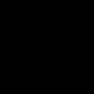 Meet your Posher, Beidi